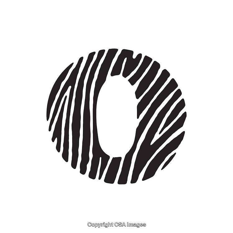 Bold Letter O with Zebra Pattern Design on White Background