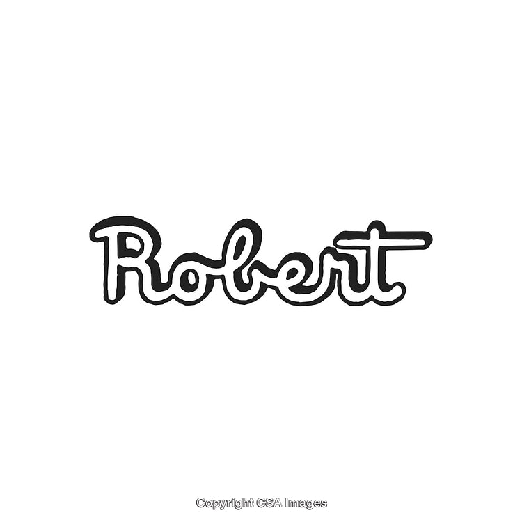 Stylized Calligraphy Illustration Depicting The Name Robert in Black Ink