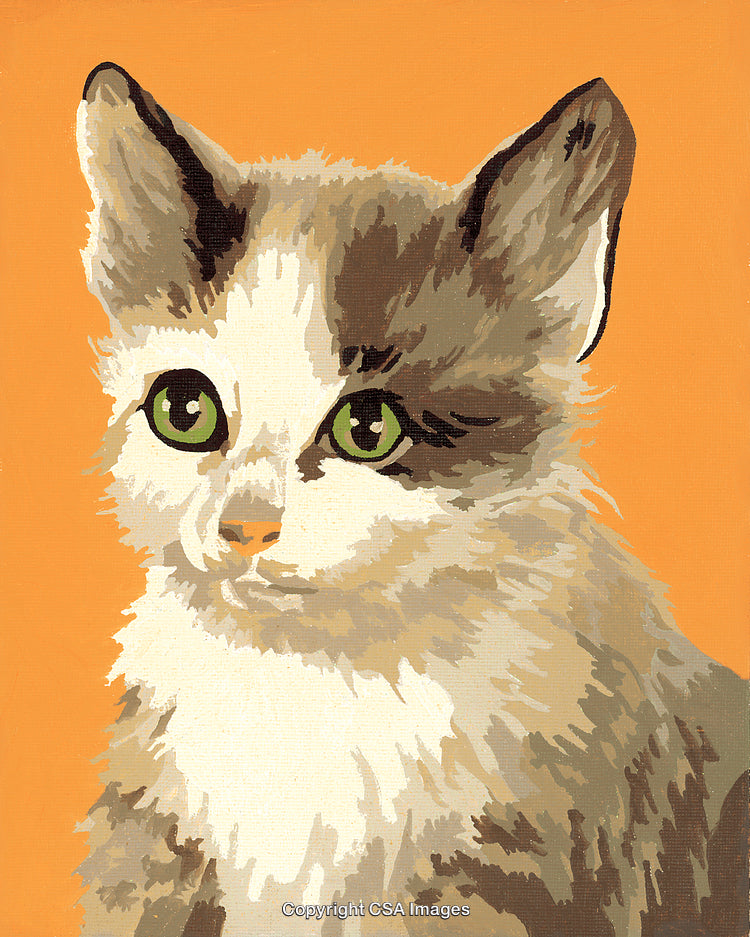 Vibrant Cat Portrait in a Paint by Number Art Style