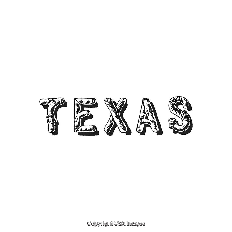 Vintage Texas Typography With Ornate Lettering on White Background