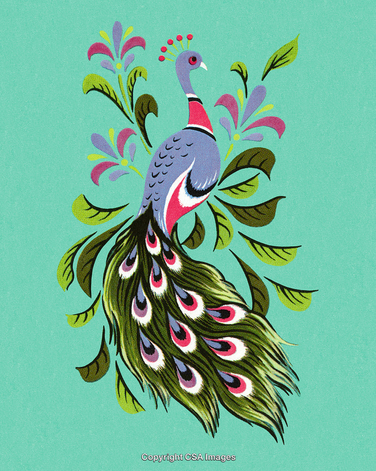 Elegant Peacock Illustration With Vibrant Colors and Decorative Details on Teal Background