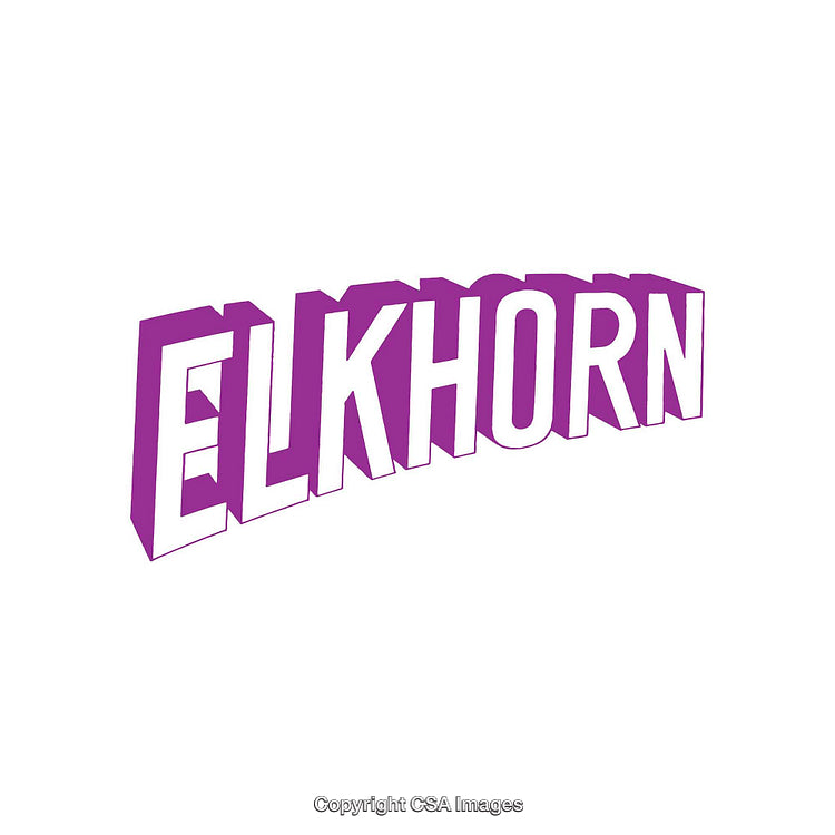 Vibrant Purple Elkhorn Text Design on Clean White Background