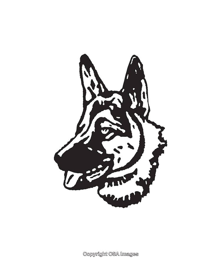 Black and White Line Art Illustration of a German Shepherd Dog