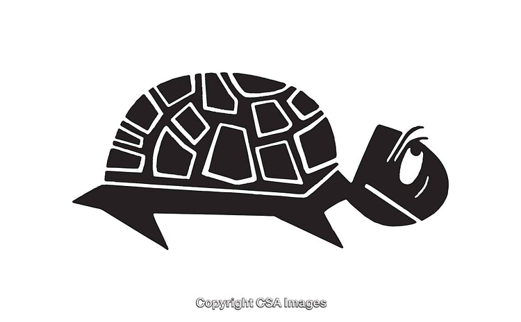 Black and White Stylized Turtle Illustration in Minimalistic Design