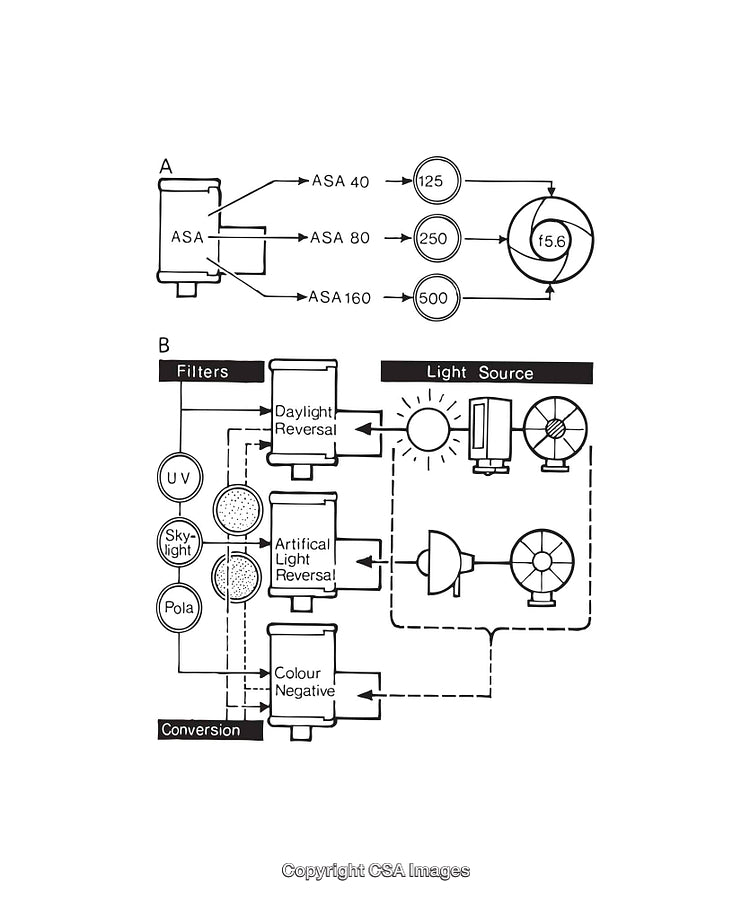 Black and White Film Processing and ASA Settings Diagrams