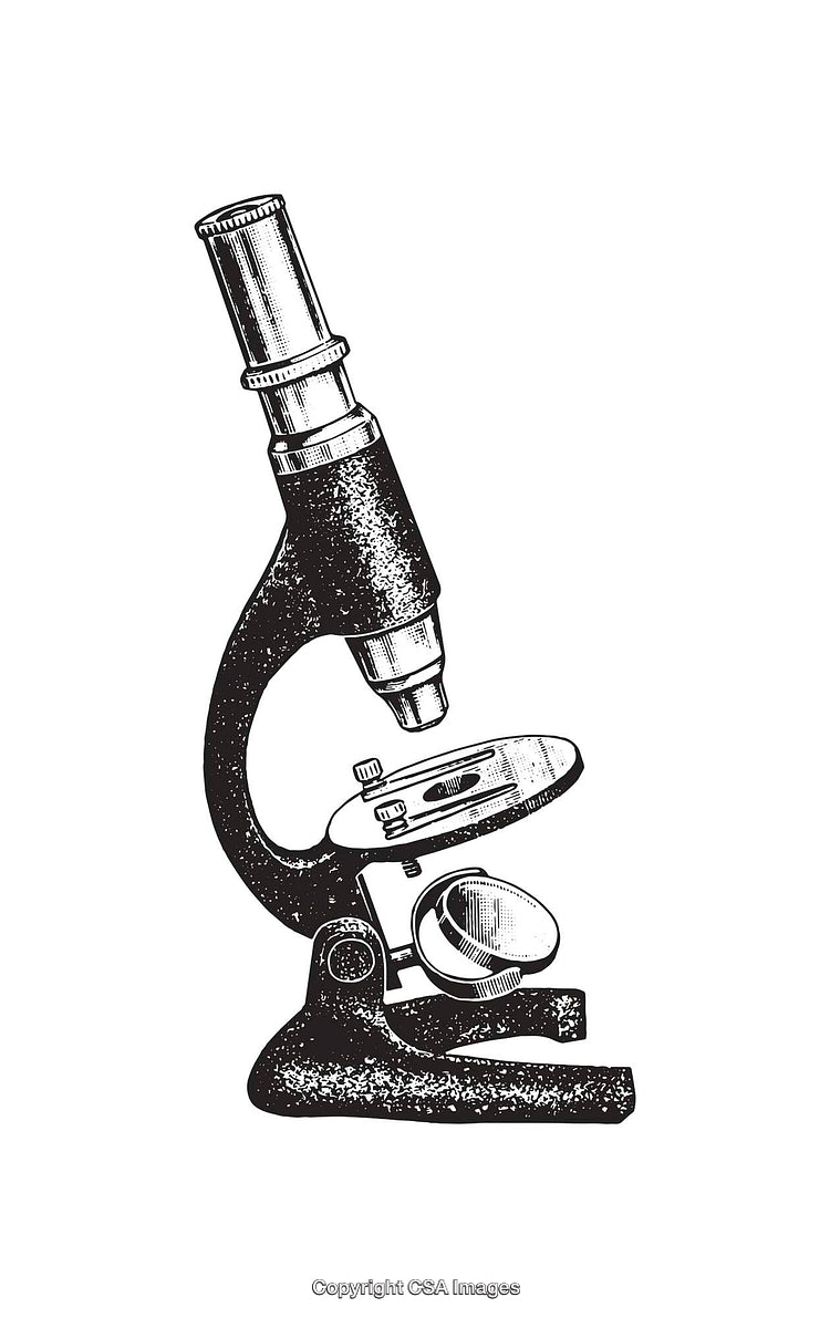 Black and White Line Art of a Microscope Illustration