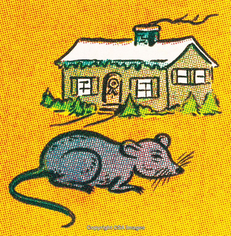 Cartoonish Illustration of a Winter House and Whimsical Mouse on Yellow Background