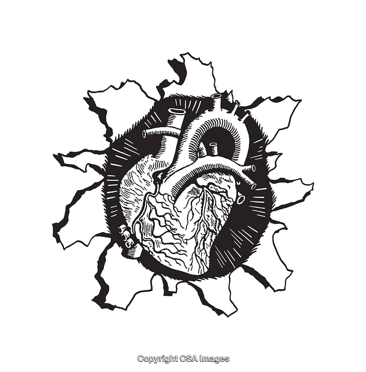 Intricately Designed Anatomical Heart Illustration Shattering Through Cracked Surface