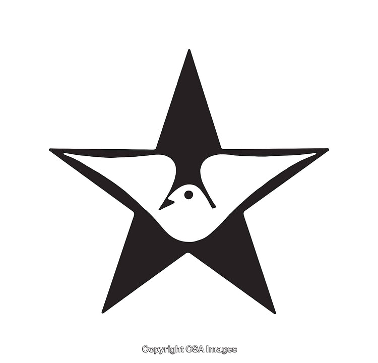Stylized Black and White Line Art of a Bird Inside a Star