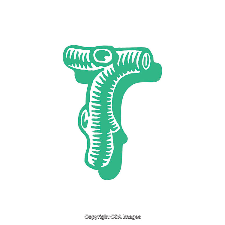 Illustration of the Letter T in a Bold Green Artistic Style
