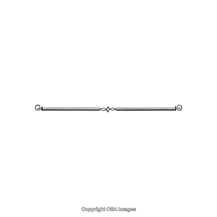 Elegant Decorative Black And White Ornamental Divider Design