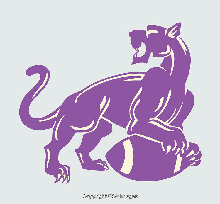 Purple Panther Illustration Featuring Football in Unique Line Art Style
