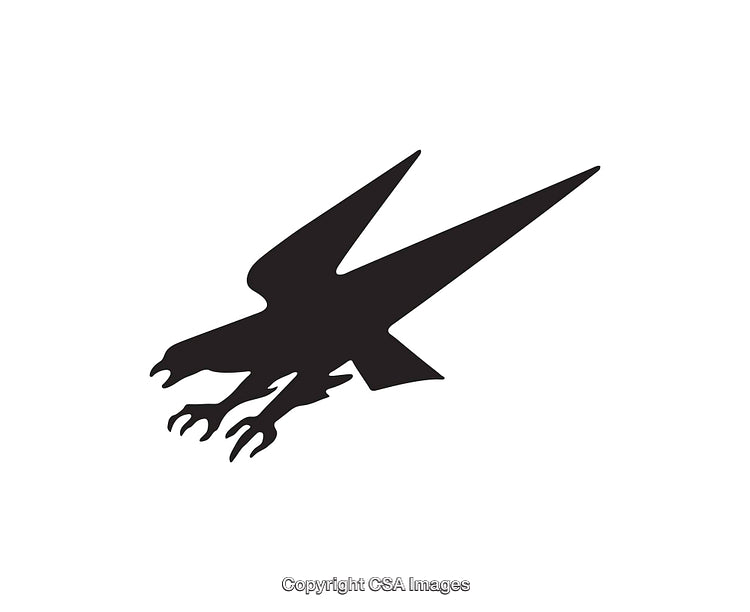 Silhouette of a Bird of Prey In Flight with Outstretched Talons