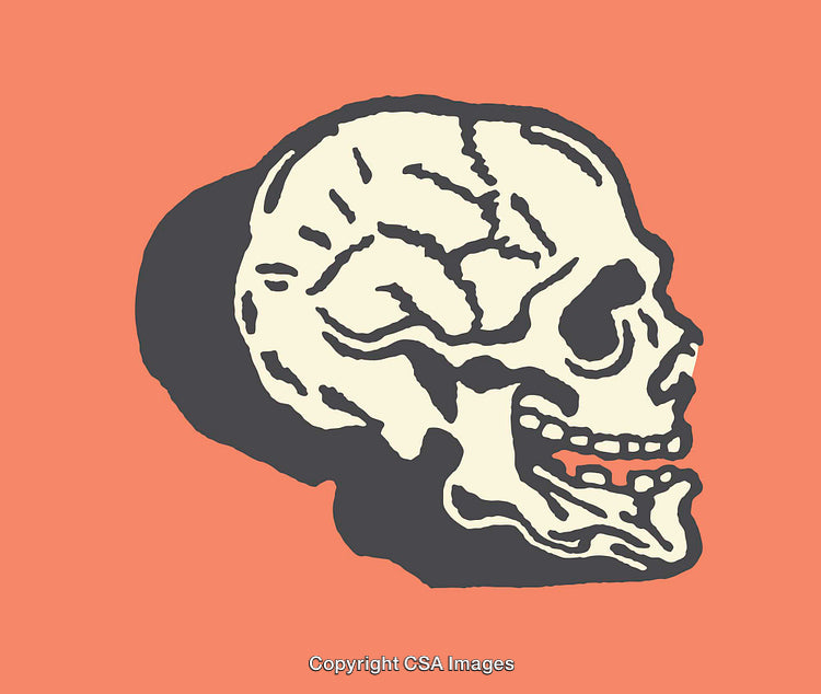 Stylized Illustration of a Skull Profile with Bold Line Art Design