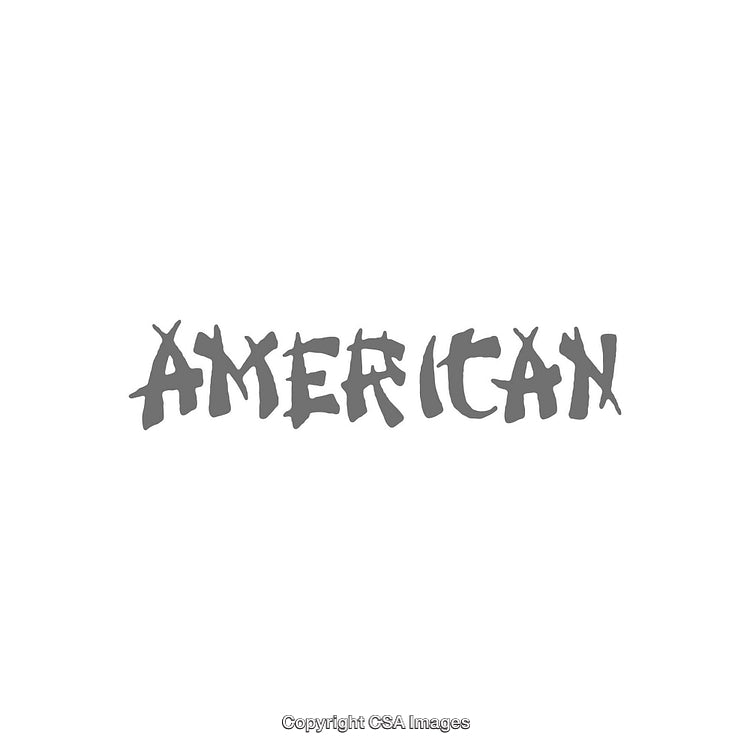 Stylized Typography Featuring Word 'American' in Unique Artistic Font Style