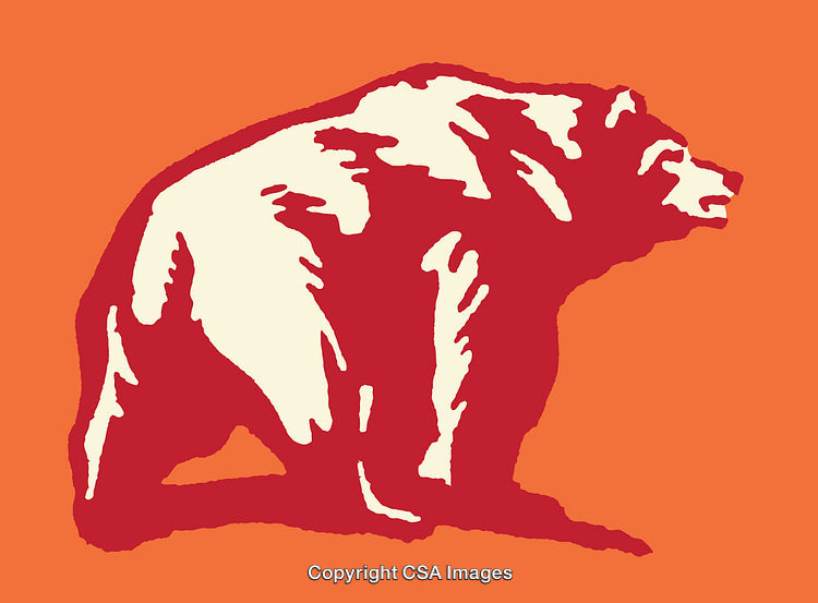 Bold Line Art Illustration of a Bear on Vibrant Orange Background