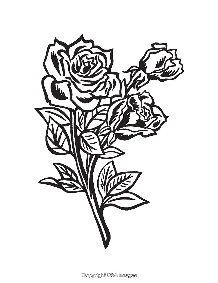 Black and White Line Art Illustration of Blooming Roses With Leaves