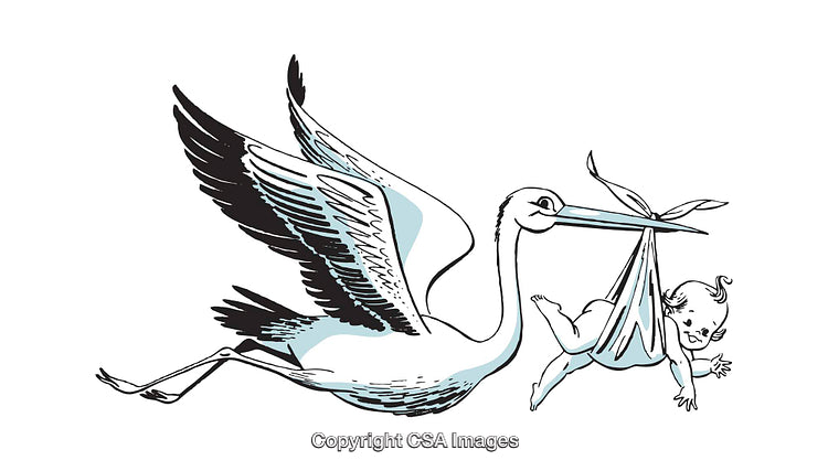 Illustration of Stork Carrying a Baby in a Swaddle with White Background