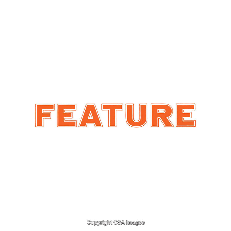 Feature Text in Bold Orange Letters on a White Background