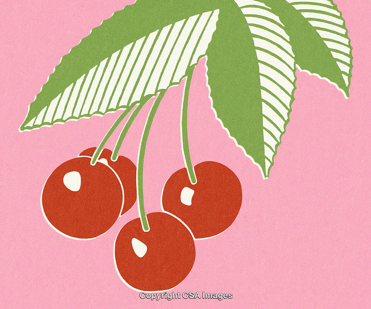 Retro Illustration of Cherries on a Pink Background with Green Leaves