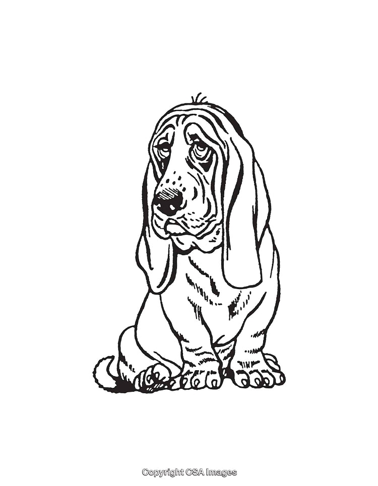 Detailed Black and White Line Art Illustration of a Sitting Hound Dog