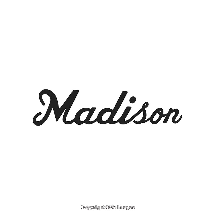 Stylish Black and White Cursive Typography Logo Design