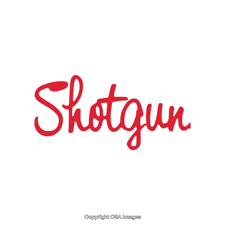 Red Handwritten Script Text Logo on a Plain White Background