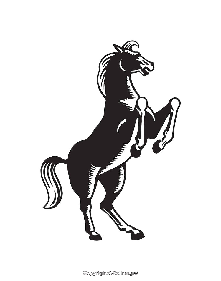 Elegant Black and White Line Art of a Rearing Horse for Design