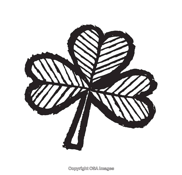 Black and White Line Art Drawing of a Clover Leaf Illustration