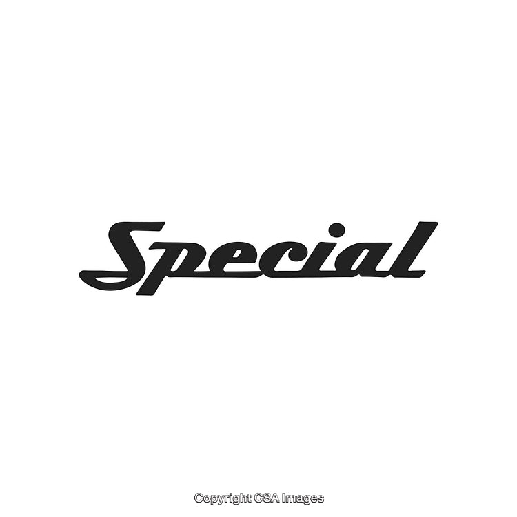 Special Typography Logo Design with Bold Script Font on White Background