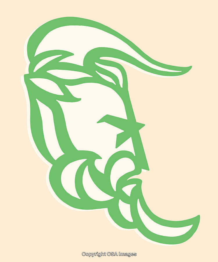 Abstract Green Line Art Portrait Illustration on Beige Background