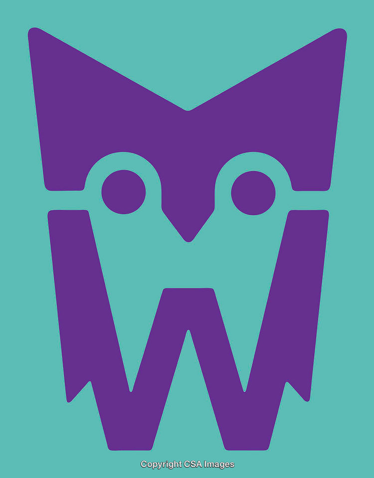Stylized Purple Owl Mask Design on Aqua Background