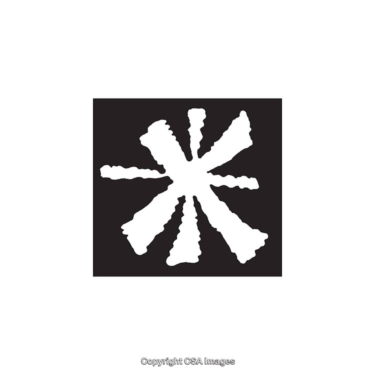 Abstract Black and White Dingbat Shape With Unique Artful Pattern