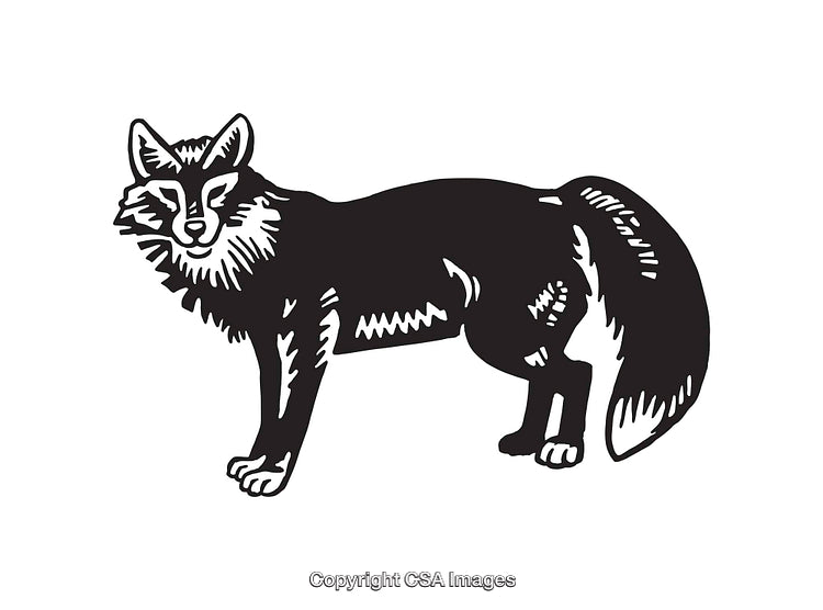 Black And White Line Art Illustration of a Standing Fox