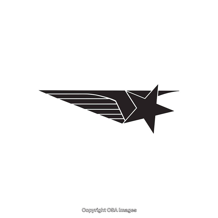 Abstract Black Star With Dynamic Wing Design Symbol