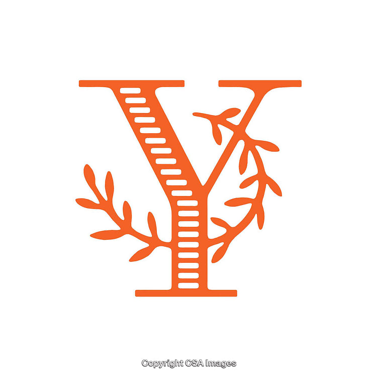 Decorative Letter Y with Botanic Elements in Orange Design