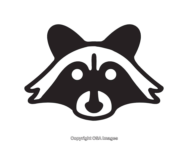 Black and White Raccoon Face in Minimal Line Art Style