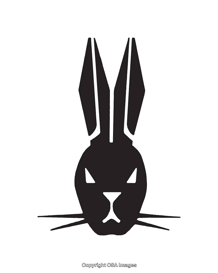 Black and White Rabbit Icon in Abstract Style