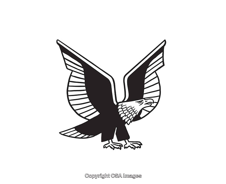 Stylized Black and White Line Art of a Soaring Eagle