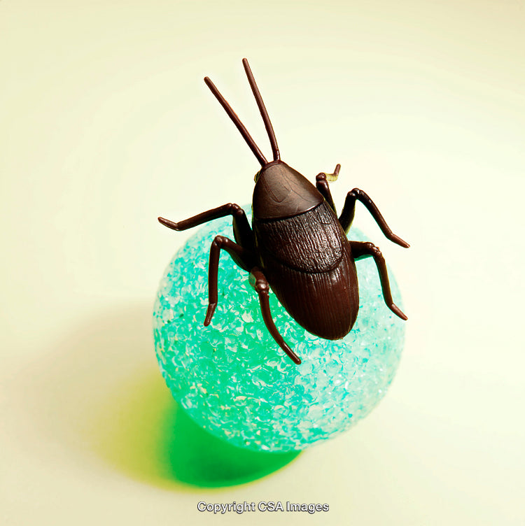 Plastic Insect Figurine Posed on Textured Vibrant Blue Spherical Object