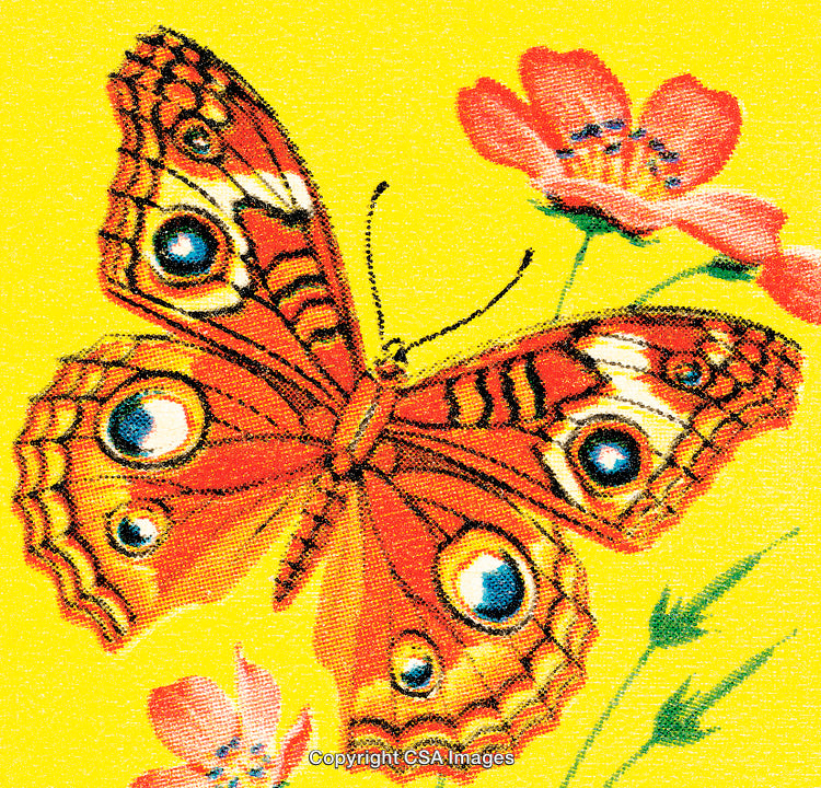 Vivid Orange Butterfly With Flowers on a Bright Yellow Background