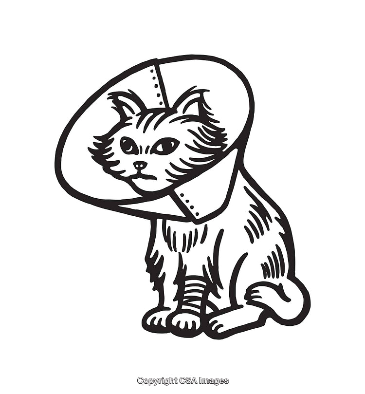Black And White Illustration of a Cat Wearing a Protective Medical Collar