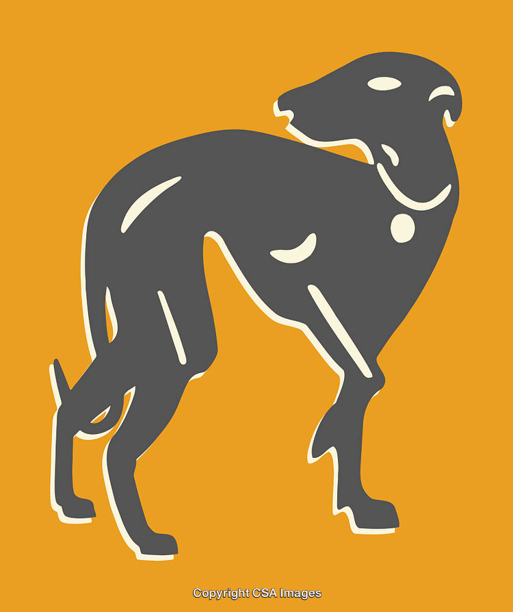 Stylized Greyhound Illustration on Bright Orange Background in Modern Art Style