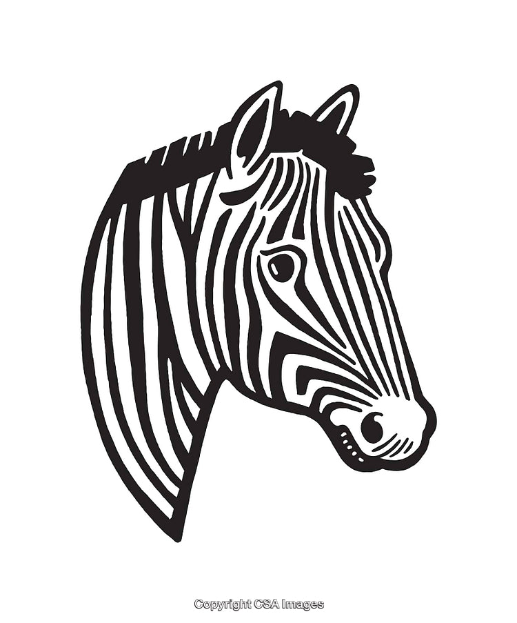 Black and White Line Art Illustration of a Zebra Head Profile