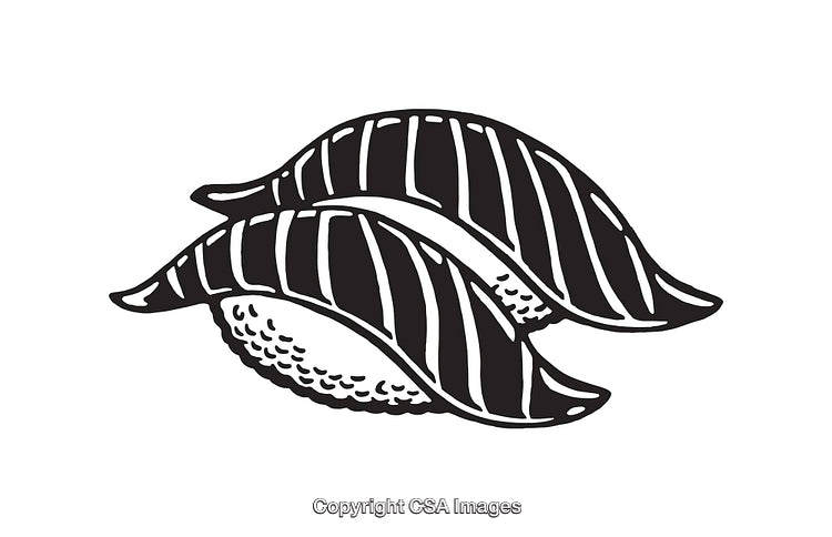 Black and White Line Art Illustration of Two Pieces of Nigiri Sushi