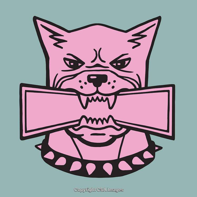 Illustration of a Pink Dog Biting a Rectangle on Turquoise Background