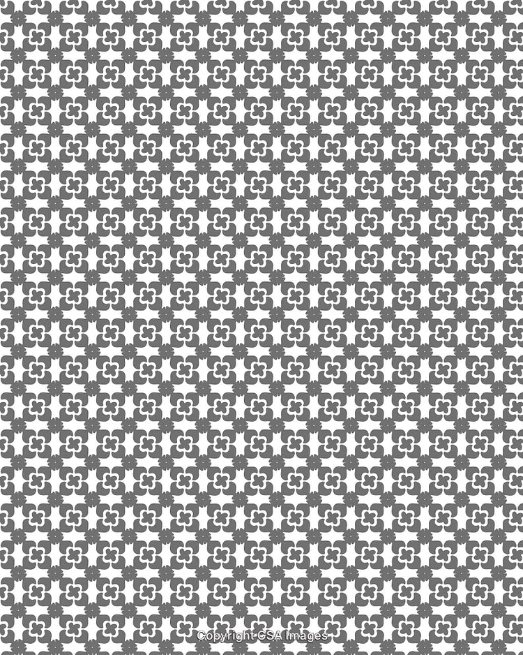 Geometric Grey and White Pattern Featuring Repeated Floral Motifs