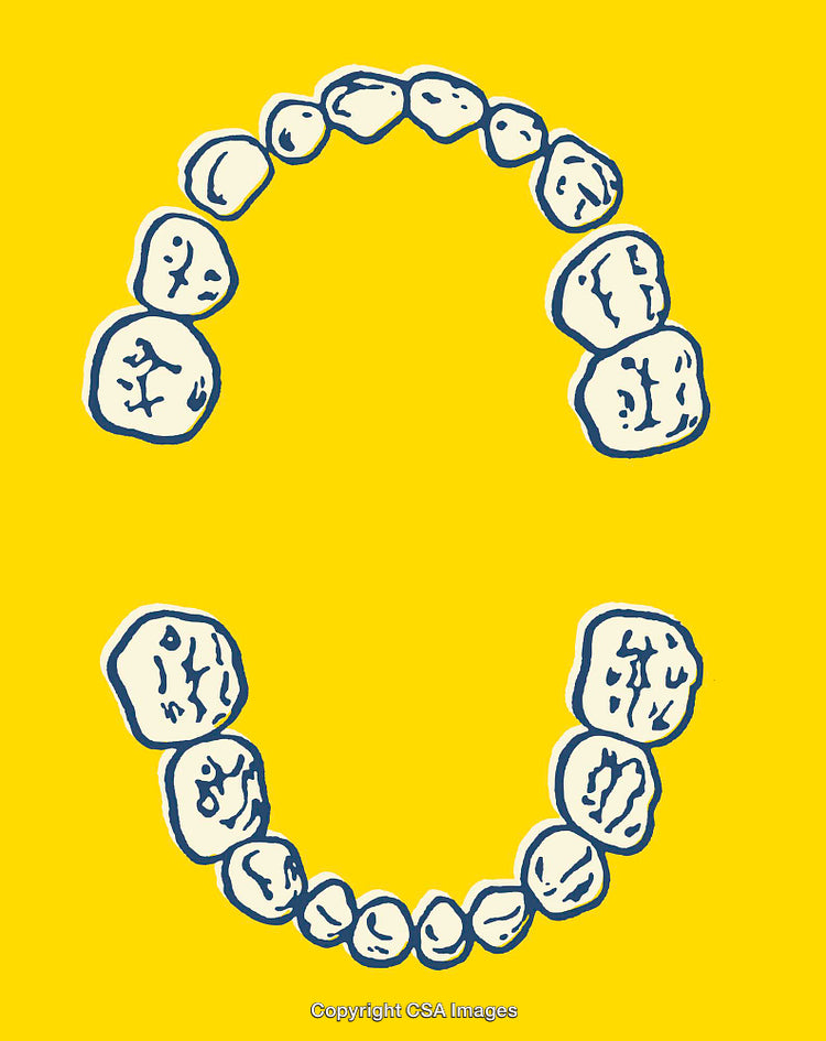 Illustration of Dental Arches on Bright Yellow Background Highlighting Teeth Structure