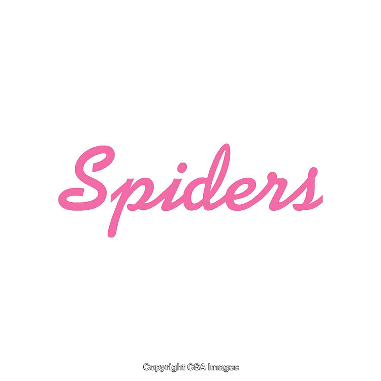 Stylish Pink Typography Featuring Word Spiders on White Background