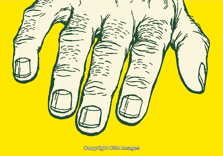 Color Line Art Illustration of a Detailed Hand Close-Up